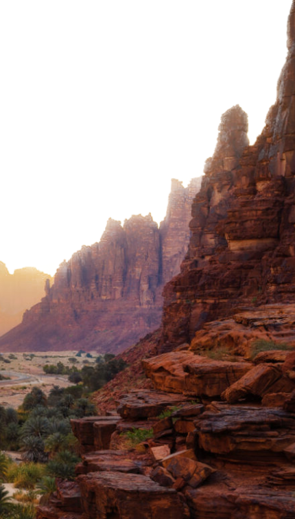 increase in revenue from Engineering Support Projects