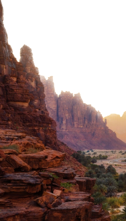 increase in revenue from Engineering Support Projects